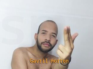 Gavril_morton