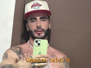 Gawainn_zeldris