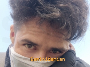 Geminidamian