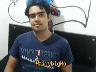 HairybigHo