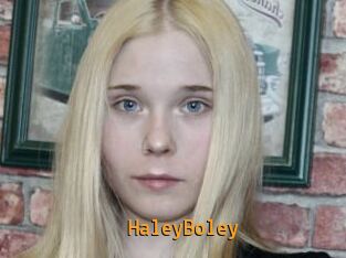 HaleyBoley