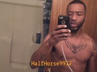 HalfHorse9912