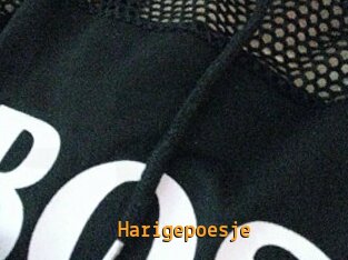 Harigepoesje