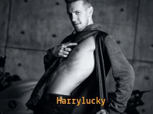 Harrylucky