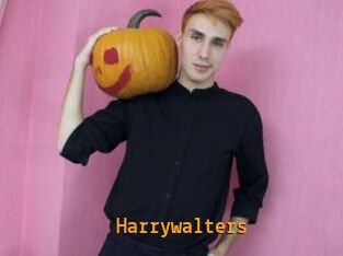 Harrywalters