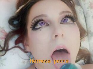 Hermosa_perra