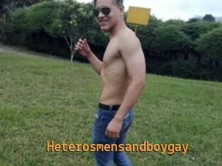 Heterosmensandboygay