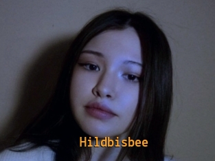 Hildbisbee