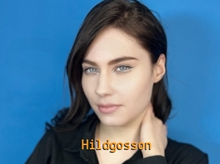 Hildgosson