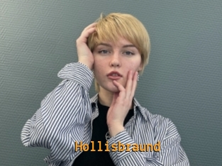 Hollisbraund