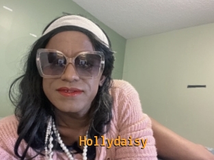 Hollydaisy