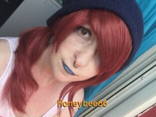 Honeybee66