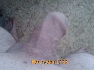 Hornydan1733