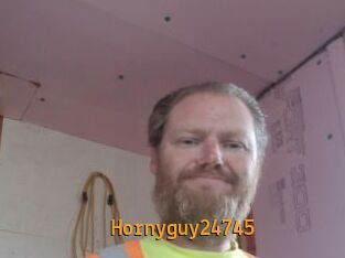 Hornyguy24745