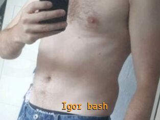 Igor_bash