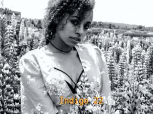 Indigo_22
