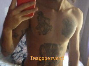 Imagopervert