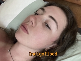 Indigoflood