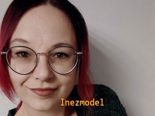 Inezmodel