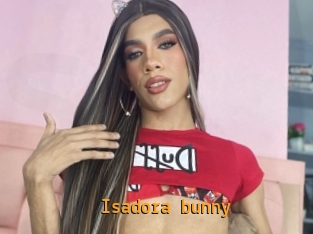 Isadora_bunny