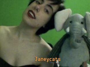 Janeycats