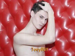JoeyB0Y