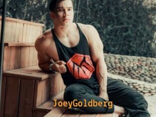 JoeyGoldberg