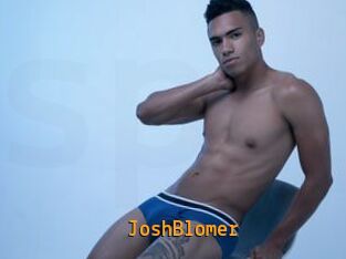 JoshBlomer