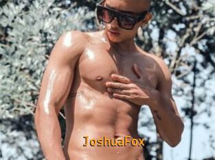 JoshuaFox
