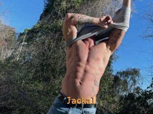 Jackal