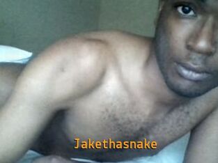Jake_tha_snake