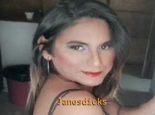 janesdicks Sexcam Portal