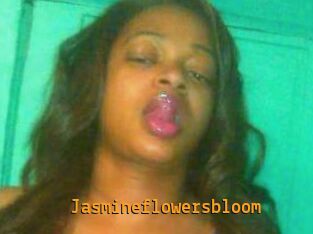 Jasmineflowersbloom