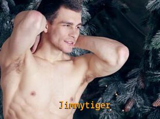 Jimmytiger