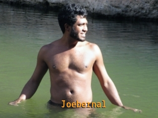joebernal Sexcam Portal