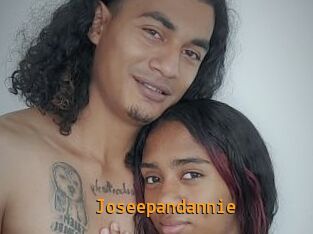 Joseepandannie