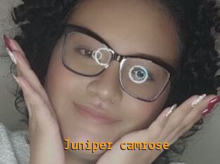 Juniper_camrose