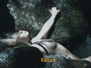 Katze