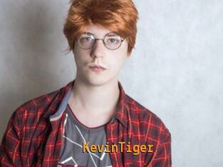 KevinTiger