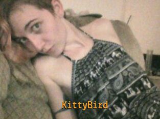 KittyBird