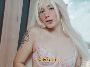 Kamicat