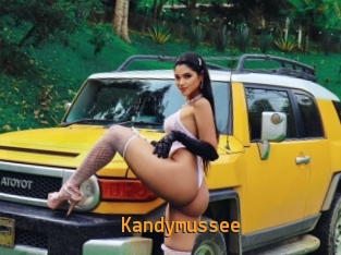 Kandymussee