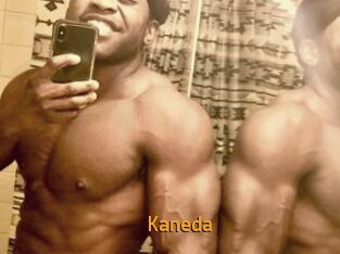 kaneda Sexcam Portal