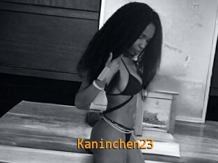 Kaninchen23