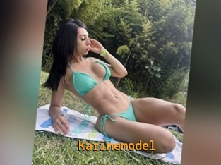 Karimemodel