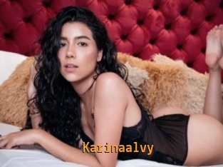 Karinaalvy
