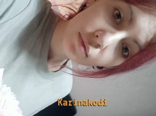 Karinakodi