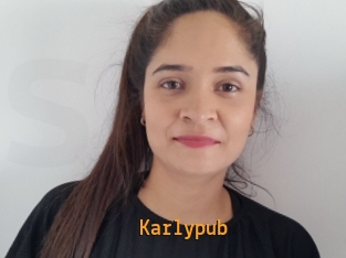 Karlypub