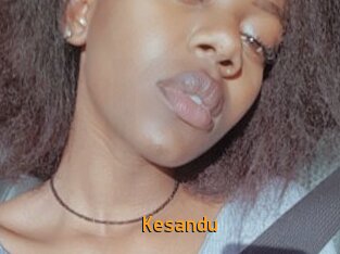 Kesandu