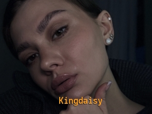 Kingdaisy